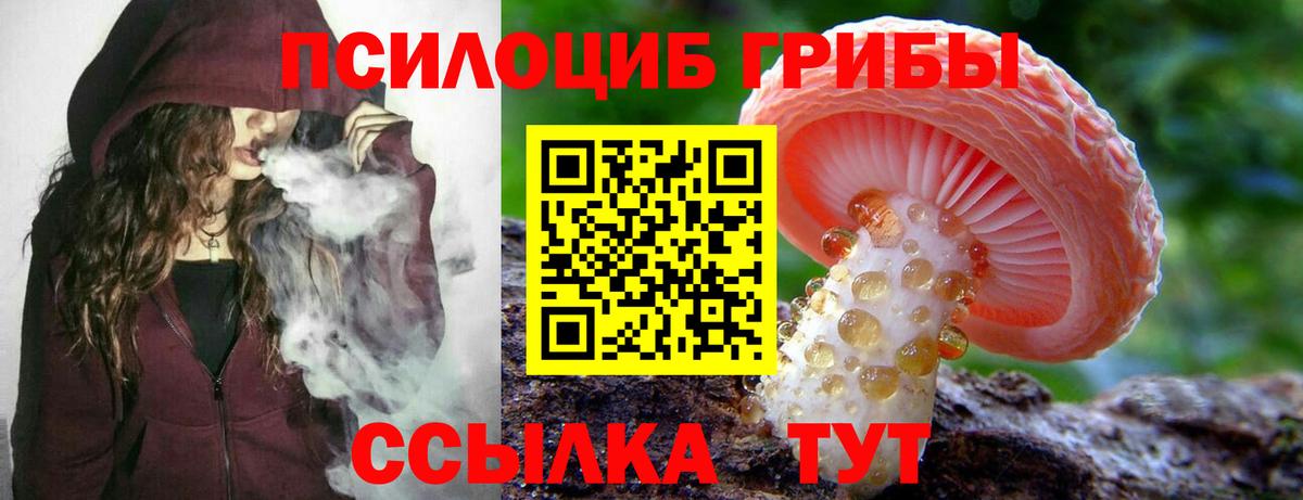 Псилоцибиновые грибы прущие грибы  Вход с VPN  Кировск 